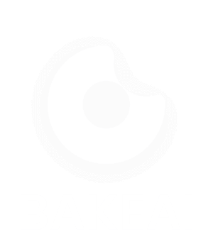 Bake Ai
